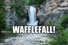 wafflefall.jpg